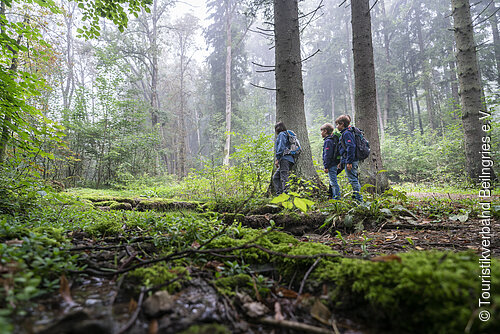 Wandern in der Marienklause