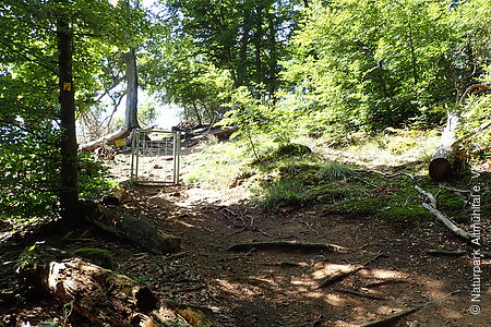 Viehgatter am Wanderweg
