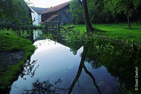 Quellteich des Mühlbachs bei der Obermühle