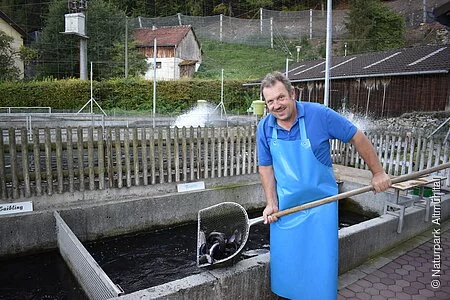 Fisch wird aus dem Wasser gehoben