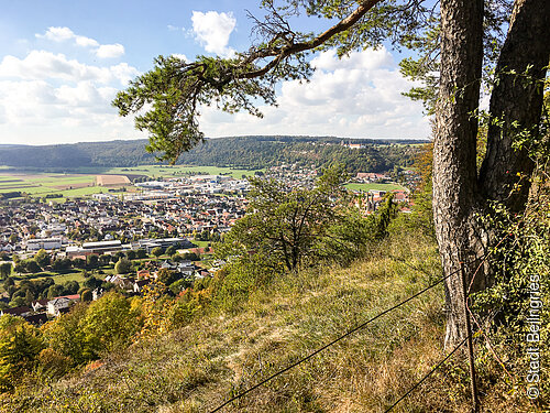 Wanderer mit dem Blick auf Beilngries