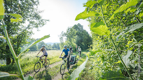 Eine Gruppe Radfahrer im Vordergrund eingebettet in Natur und im  Hintergrund der Rhein-Main-Donau-Kanal