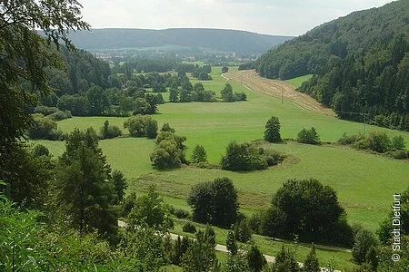 Blick vom Premerzhofer Berg in Labertal nach Dietfurt