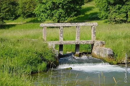 Ein Schwall an der Laber zwischen Dietfurt und Breitenbrunn