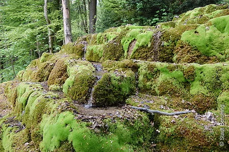 Wanderweg Nr. 4