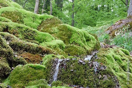 Am Wanderweg Nr. 4