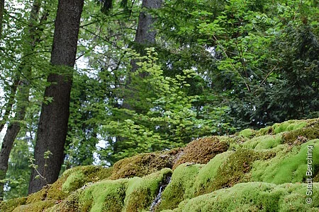 Wanderweg Nr. 4 Berching