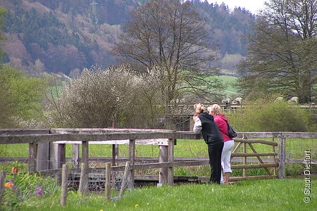 Zwei Wanderer schauen in die Schleusenkammer am historischen König-Ludwig-Kanal bei Mühlbach. Im Hintergrund ein Wehr und bewaldeter Hang