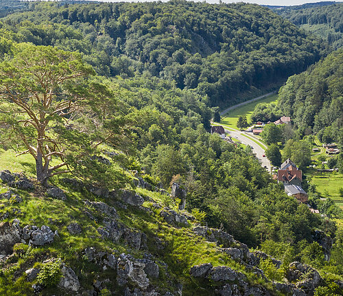 Blick auf Birktal vom Brandplatz