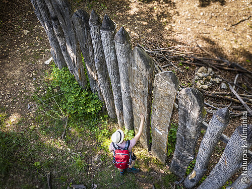 Palisadenzaun am Pfahlbuck Kipfenberg