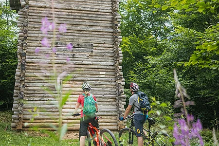 Limeswachturm