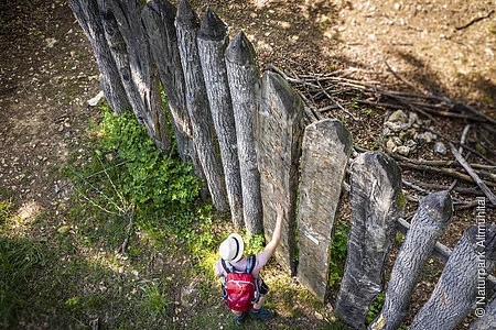 Palisade Kipfenberg