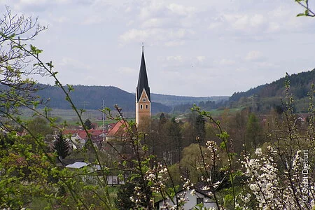 Aussicht vom Wildensteinerweg auf Dietfurt im Mittelpunkt der Kirchturm von der Pfarrkirche