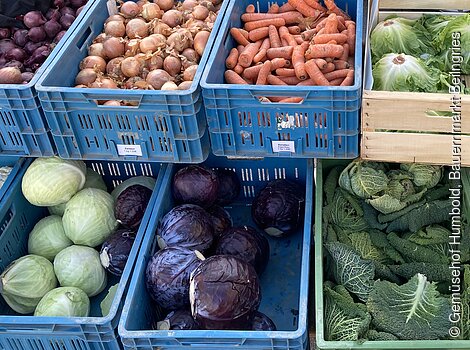 Kisten mit frischem Gemüse