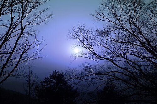 Vollmond