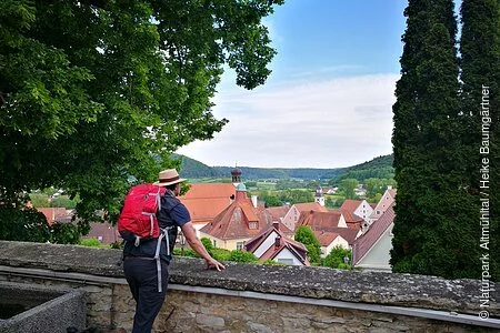 Ein Wanderer mit roten Rucksack steht an einer Mauer und lässt seinen Blick über Greding schweifen. Die Stadt ist von zwei Bäumen eingerahmt.
