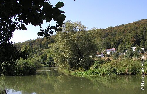 Altmühlaltwasser bei Inching