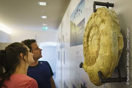 Eine Frau mit langen, braunen Haaren und ein braunhaariger Mann schauen sich interessiert eine Rekonstruktion eines Ammoniten in der Ausstellung im Informationszentrum im 1.Stock an.