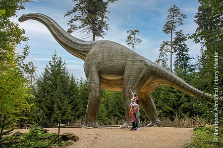 Rundgang Dinosauriermuseum Denkendorf