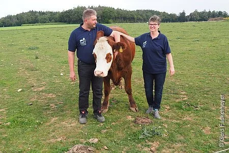 Herr und Frau Betz mit zahmen Ochsen auf Wiese