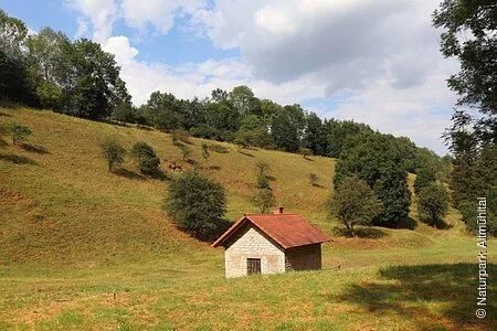 Scheune auf Trockenrasen