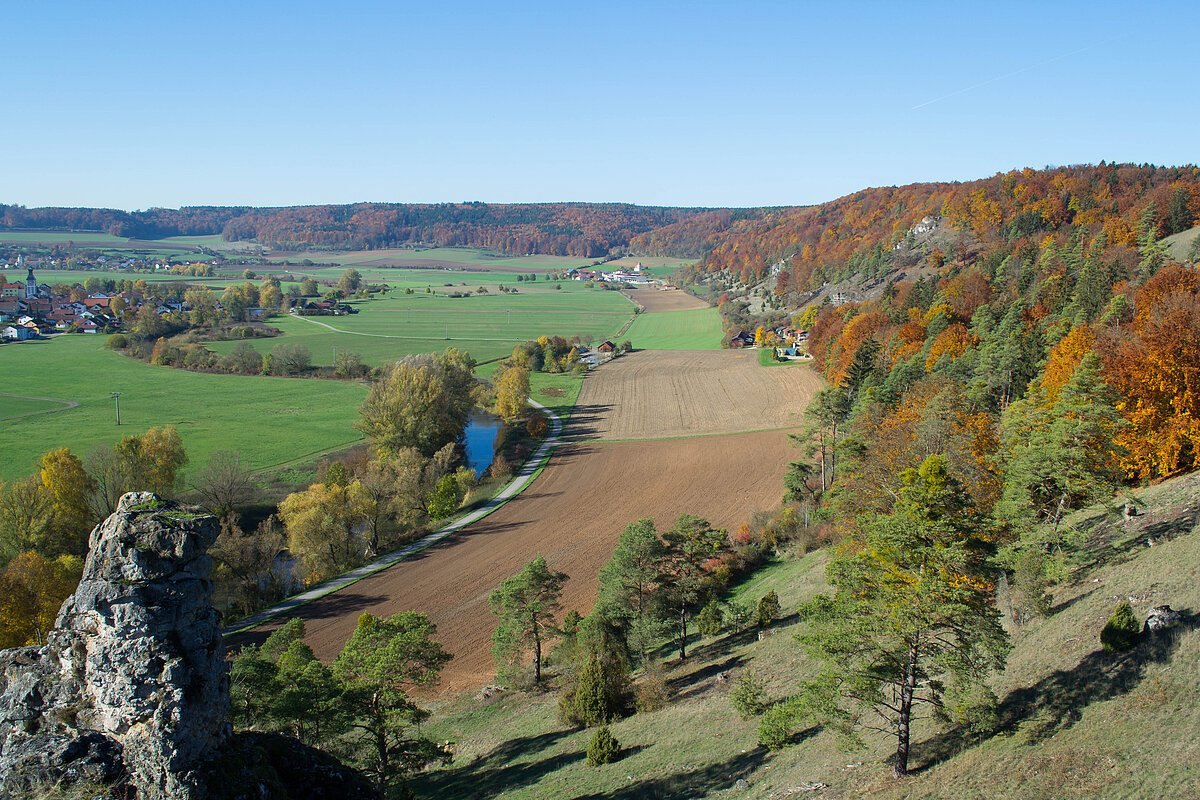 Wacholderheide