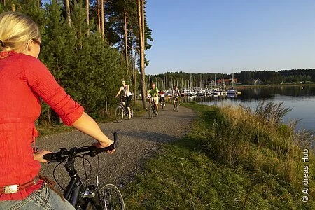 Einer Frau auf dem Rad begegnet auf einem Radweg direkt am See einer Gruppe anderer Radfahrer. Der Weg führt vorbei an Bäumen und Sträuchern sowie einem kleinen Segelhafen.