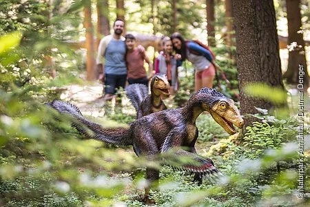 Eine Familie steht im Hintergrund im Wald und schaut auf eine kleine Gruppe kleiner Saurier im Vordergrund.