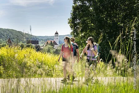 Drei Wanderer mit sommerlicher Kleidung sind auf dem Altmühltal-Panoramaweg unterwegs. Die zwei Frauen im Vordergrund tragen rot und lila Shirt, dahinter wandert ein Mann im dunklen Shirt. Der Wanderweg wird von grünem Gras gesäumt. Links erhascht man einen Blick auf Dollnstein und seine Kirche. Rechts ragt ein großer Baum hoch.