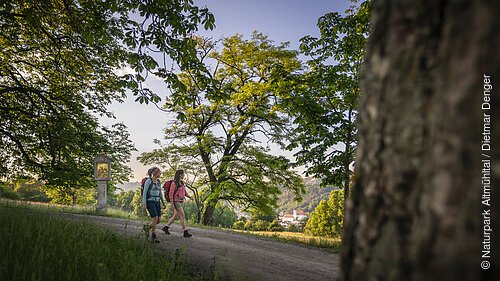 Ein Baumstamm ragt ins Bild. Zwei Frauen in hellblauem und rosafarbenen Shirt wandern auf dem Wanderweg. Beide tragen einen Rucksack. Umrahmt werden die Wanderer von grünen Bäumen, der blaue Himmel blitzt durch die Blätter hindurch.