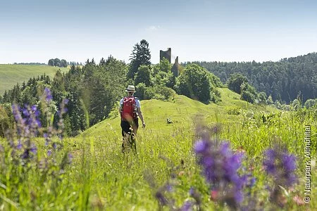 Wanderer in Bechthal