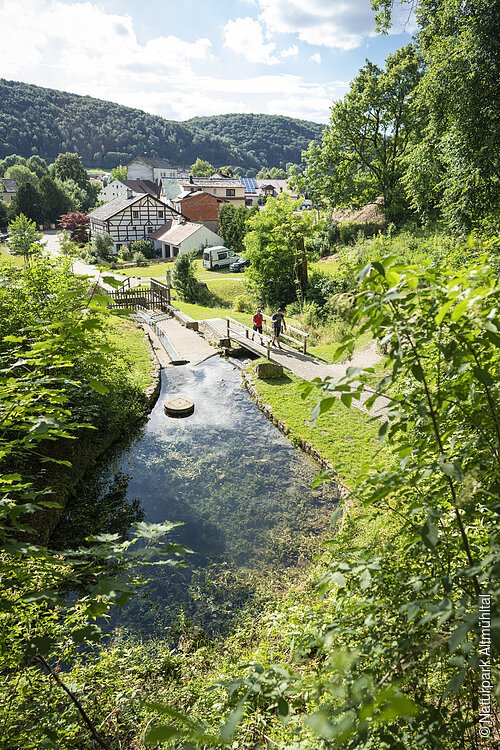 Karstquelle Grüner Topf bei Kipfenberg