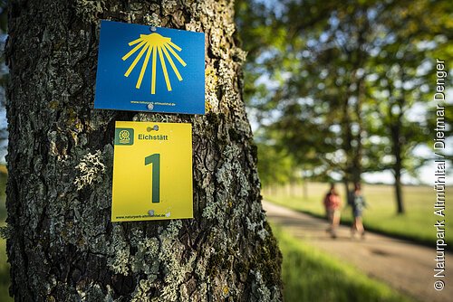 Wanderer am Frauenberg Eichstätt