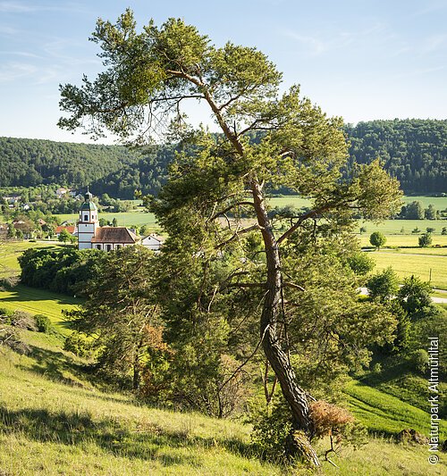 Altmühltal-Panoramaweg (Gungolding)