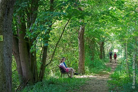 Wanderer im Grünen
