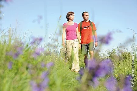 Wanderer auf blühender Wiese