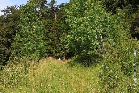 Wanderweg am bewachsenen Südhang  mit zwei Wanderer die in den Wald im Hintergrund gehen