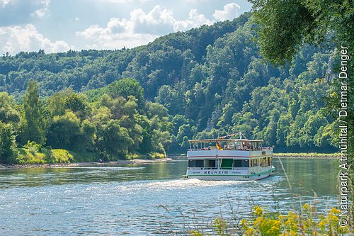 Ein Personenschiff fährt durch die Weltenburger Enge am Donaudurchbruch. Die Wälder an den Ufern erstrahlen in leuchtend grünen Farben. Der Himmel blitzt blau durch.