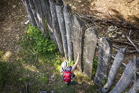 Palisade Kipfenberg