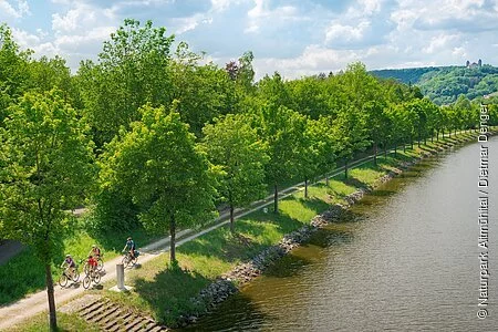Der Radweg verläuft entlang des Main-Donau-Kanals. Bäume entlang des Ufers spenden den  Radlern Schatten.