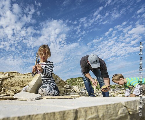Ein Mann mit zwei Kindern suchen im Steinbruch nach Fossilien. Das Mädchen löst vorsichtig Gesteinsplatten mit Hammer und Meißel. Der Junge mit dem Mann schauen sich ihre Funde an.