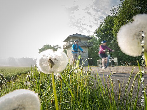 Radfahrer am Limes-Radweg beim Limesturm Erkertshofen