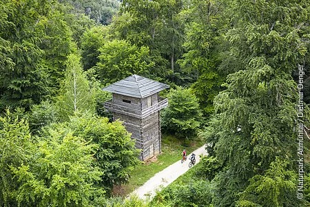 Der Limesturm aus Holz inmitten eines Waldes, der hellgrün leuchtet. Der Limesradweg läuft direkt am Turm vorbei. Hier sind zwei Radler auszumachen.