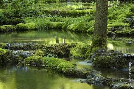 Kalksinterterrassen Kaisinger Tal