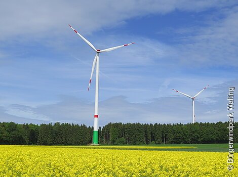 Bürgerwindpark Walting mit Rapsfeld