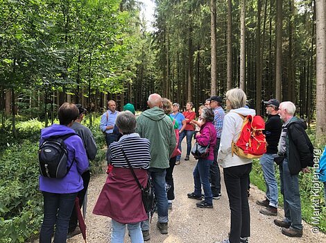 Wald Kipfenberg