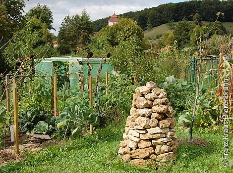 Breitenbrunn: Biotop