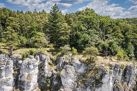 Frontaler Blick auf eine Felspartie der Arnberger Leite auf der eine Familie steht. Im Hintergrund grüner, sommerlicher Wald und blauer Himmel mit weißen Wolken.