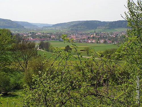 Blick auf Dietfurt von der Sommerleiten