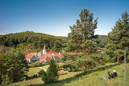 Deutschland, Bayern, Oberpfalz, Hohenburg. 2012